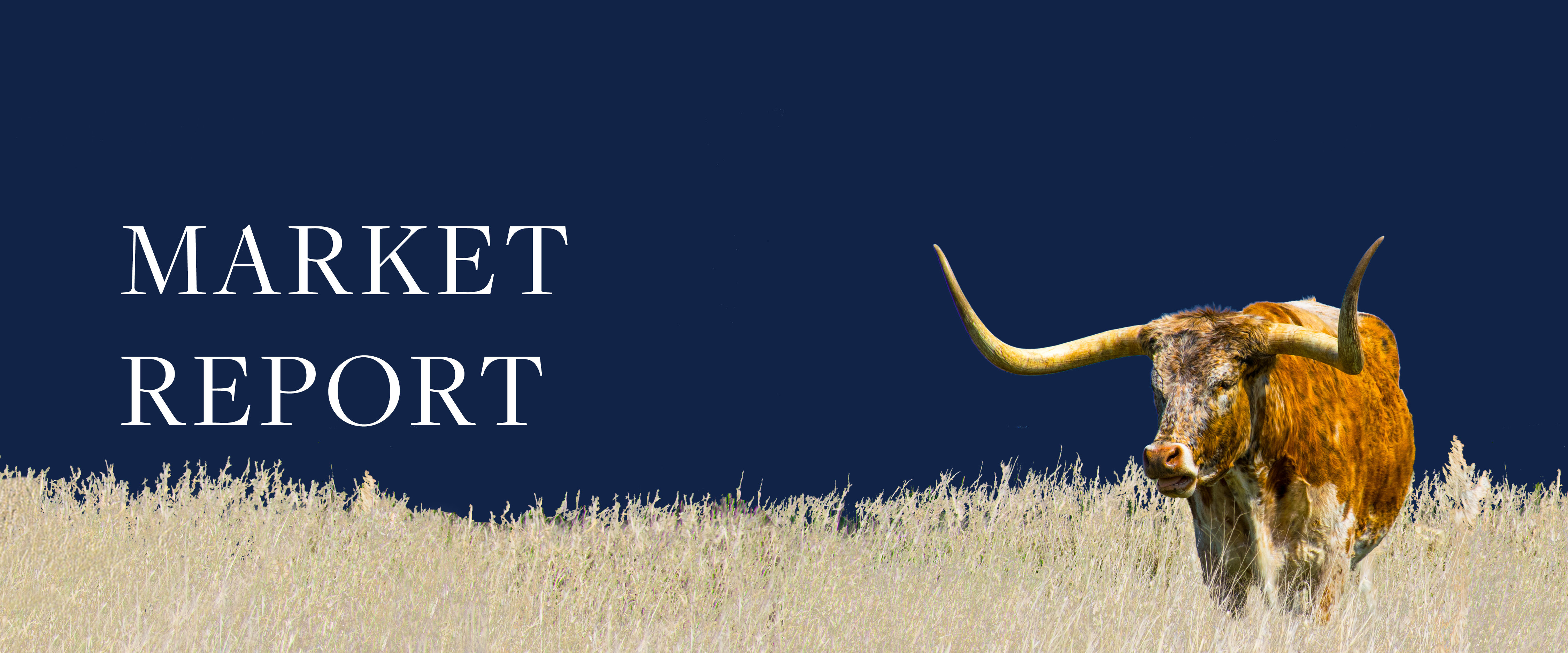 Market Report